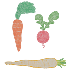 Drie getekende wortels: een radijs, pastinaak en wortel